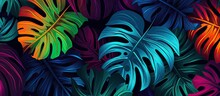 A cohesive and vibrant design depicting a tropical theme with palm leaves and monstera on a contrasting dark backdrop