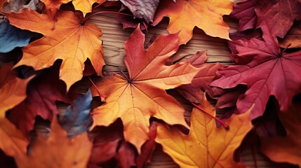 Wall Mural - Autumn leaves lying on the floor 