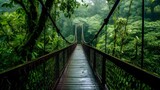 Fototapeta Las - a bridge in the middle of a forest