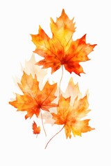 Poster - Two leaves placed on a clean white surface. Suitable for various nature-themed projects.