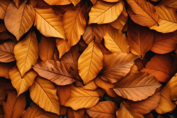Poster - A close up view of a bunch of leaves. This image can be used to depict nature, foliage, or the changing seasons.