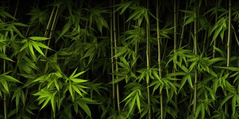 Poster - A collection of vibrant green bamboo plants arranged in a room. Perfect for adding a touch of nature and tranquility to any indoor space.