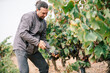 © ADDICTIVE STOCK - Man harvesting grapes with tool in farm