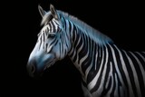 Fototapeta Konie - Portrait of a zebra in the studio on a black background. Generative AI.