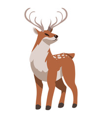 Wall Mural - woodland animal deer