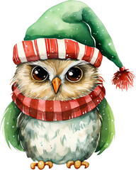 Wall Mural - Sweet Watercolor Owl in Santa Hat for Christmas, Isolated