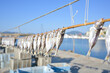 魚の干物が青空と海を背景に漁港で作られている様子