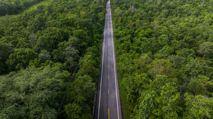 Wall Mural - Aerial view over  forest road with asphalt road and forest, Road in the middle of the forest up to mountain, Countryside road passing through the green forrest and mountain.
