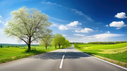 Aufkleber - asphalt road panorama in countryside on sunny spring day