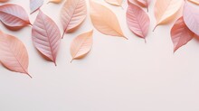 Leaves background in Aesthetic minimalism style. Soft pastel, neutral colors and beige elements for social media. Elegant premium design with minimal style. Touch of sophistication to any project.