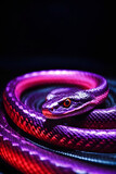 Fototapeta Las - Close-up of a snake with neon pink and purple lights on a black background.