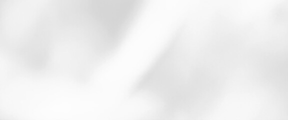 Poster - Vector abstract white gray background, shiny surface,  luxury white gradient background, silver metallic glossy art pattern banner background.
