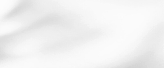 Poster - Vector abstract white gray background, shiny surface,  luxury white gradient background, silver metallic glossy art pattern banner background.