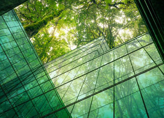 eco-friendly building in the modern city. sustainable glass office building with tree for reducing h