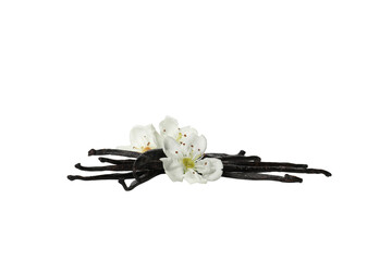 Poster - PNG,vanilla pod with a flower, isolated on white background