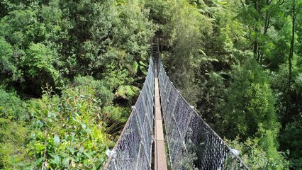 Wall Mural - Wild nature trail journey in Tasmania. Adventure travel landscape of Australia