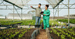 © N Felix/peopleimages.com - Man, woman and tablet in greenhouse or agriculture gardening, land growth or compost business. Farmer, teamwork and vegetable dirt or inspection manager for soil field for nature, compliance or plant