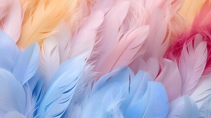 Wall Mural - feathers background with colorful natural, neutral and pastel colors and aesthetic soft style. fragi