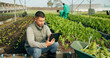 © N Felix/peopleimages.com - Farmer, tablet and greenhouse plants, farming and gardening for agriculture, green product and business. Manager, man or entrepreneur with agro harvest or vegetables and typing on digital technology