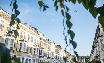 Wall Mural - Upmarket residential street of terraced houses in central west London