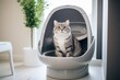 cat using innovative automatic kitten toilet at futurist minimal home