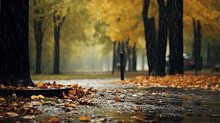 Landscape Autumn Rain Drops Splashes In The Forest Background, October Weather Landscape Beautiful Park