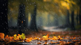 Fototapeta Natura - landscape autumn rain drops splashes in the forest background, october weather landscape beautiful park