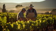 Two farmers working in vineyard under morning sunlight.