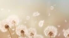 Dandelion Fluff Background For Aesthetic Minimalism Style Background. Beige, Neutral And Pastel Color Wallpaper With Elegant And Light Flying Fluffs. Fragile And Lightweight.
