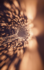 Poster - Flowing digital particles background, 3d rendering.