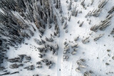 Fototapeta Natura - Aerial view of winter landscape atop alpine forest mountain top