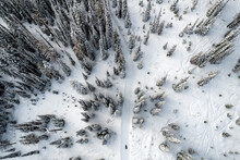 Aerial View Of Winter Landscape Atop Alpine Forest Mountain Top