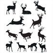 cute vector Deer shape collection