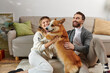 © LIGHTFIELD STUDIOS - joyful man and woman smiling and playing with cute corgi dog in modern apartment, happy moments