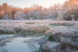 A beautiful natural wildlife refuge wetland on a crisp winter morning with hoar frost on the cattails and trees. There is a meandering stream and a forest in the background. 