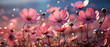 low perspective of background cosmos , blur background