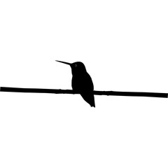 Perched Hummingbird Silhouette, can use Art Illustration, Website, Logo Gram, Pictogram or Graphic Design Element. Vector Illustration