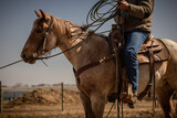 Fototapeta  - cowboy and horse