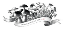 Organic Mushroom Farm Hand Drawing Vintage Style Black And White Clip Art