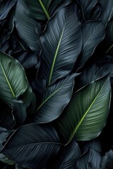 Aufkleber - A close-up view of a bunch of green leaves. This image can be used to depict nature, plants, foliage, or environmental themes.