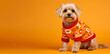 © Alina - A charming small dog adorns a Christmas sweater on an orange backdrop