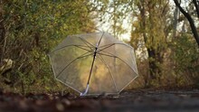 A Transparent Umbrella Lies On The Road In The Forest Under The Autumn Sun And Wind In Ukraine In The City Of Dnepr, Autumn Weather, Season, Yellow Leaves