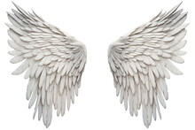 Realistic Angel Wings. White Wing, Isolated On A Transparent Background. PNG, Cutout, Or Clipping Path.