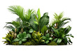 Green leaves of tropical plants bush (Monstera, palm, rubber plant, pine, bird's nest fern) floral arrangement indoors garden nature backdrop. PNG, cutout, or clipping path.	

