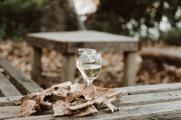 two white glasses filled with white wine on an autumn background