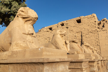 Canvas Print - Karnak temple in Luxor, Egypt