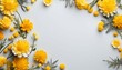 Top view flowers composition. Frame made of yellow flowers on wooden white isolated background. Easter, spring, summer concept and flat lay with copy space