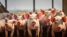 Pigs In Pig Farm.generative Ai