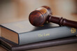 © Nadia/peopleimages.com - Background, gavel and law books on table of attorney, judge and justice for courtroom. Closeup of legal hammer, notebook and desk of lawyer in constitution of truth, fair information and human rights