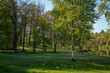 © Ula Ulachka - View of a birch tree on the shore of the White Lake in the palace park of the Gatchina Palace and Park Complex on a sunny summer day, Gatchina, Leningrad region, Russia
